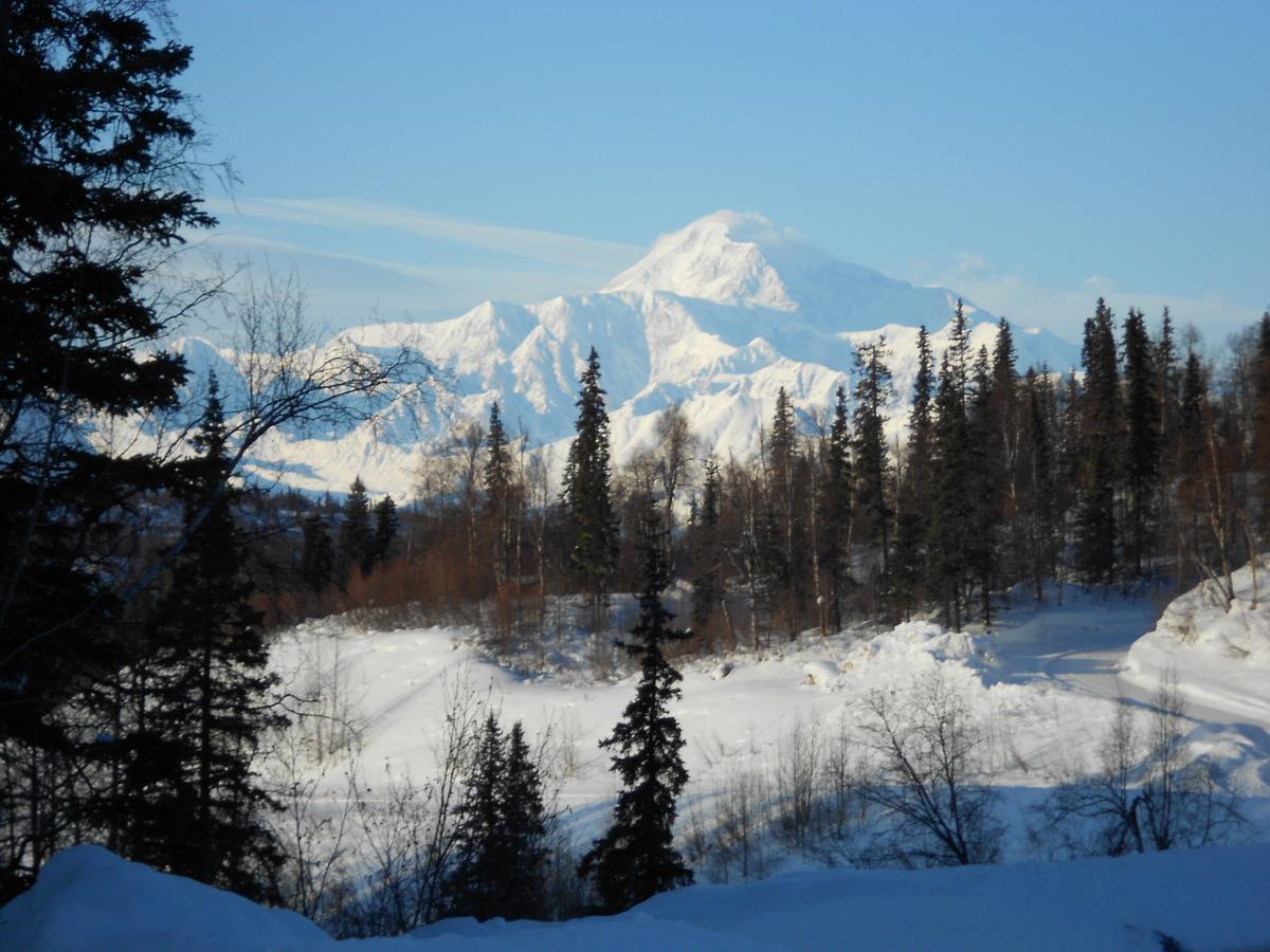 Denali Primrose Bed & Breakfast Healy Exteriör bild