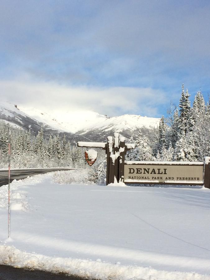 Denali Primrose Bed & Breakfast Healy Exteriör bild