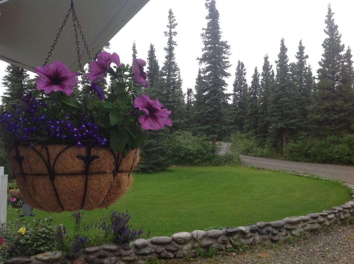 Denali Primrose Bed & Breakfast Healy Exteriör bild