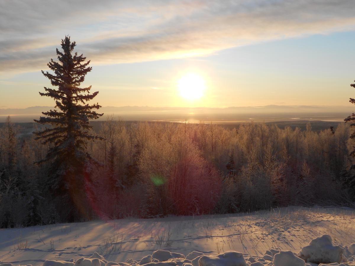 Denali Primrose Bed & Breakfast Healy Exteriör bild