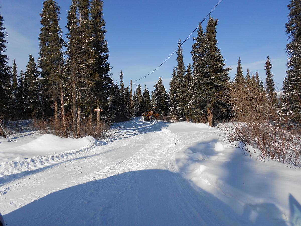 Denali Primrose Bed & Breakfast Healy Exteriör bild