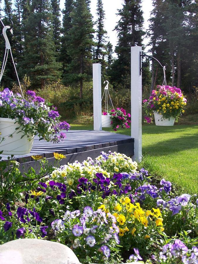 Denali Primrose Bed & Breakfast Healy Exteriör bild